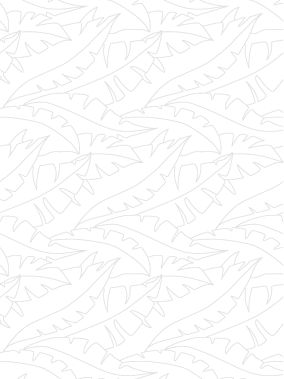 Lou Brigandas - Restaurant Saint-Dionisy - restaurant a faire LANGLADE